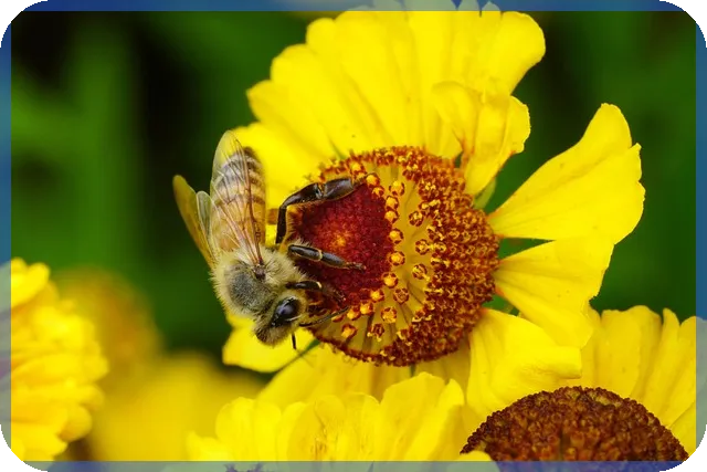 lng관련주 에너지 시장 변화 주식 투자 기회