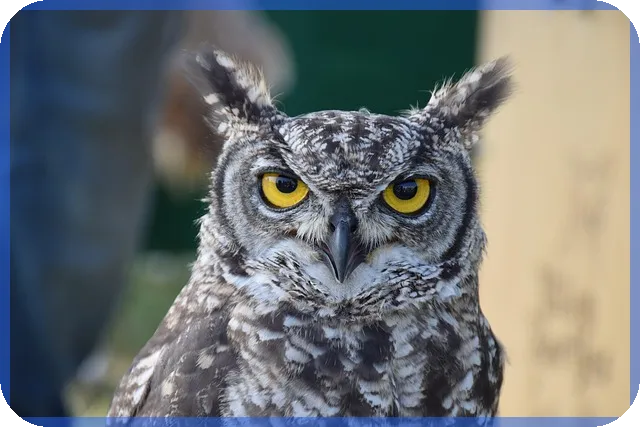 러시아우크라이나관련주 투자 전망은?