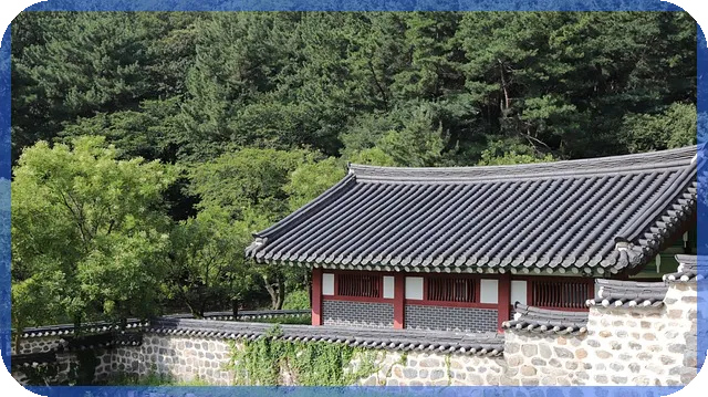 배당락 이해하기 배당 기준일과 전략은