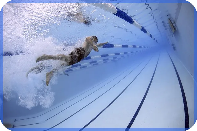 엔비디아주식으로 스타벅스 공짜 수익