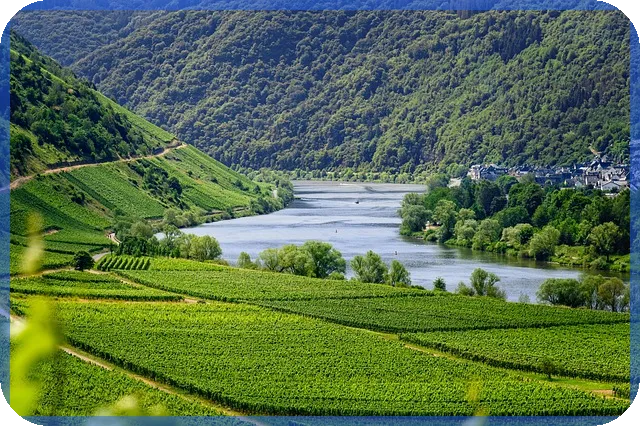 위안화환율 예측 트럼프 관세의 영향은?