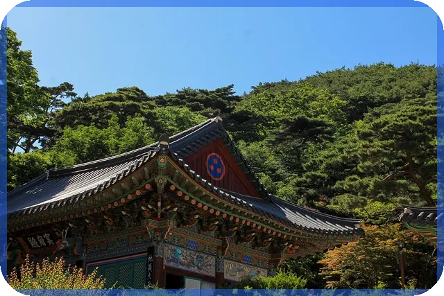 인적분할 vs 물적분할 가장 큰 차이점은?