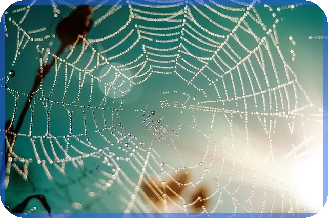 Kb부동산시세로 안전 부동산 거래하는 방법은 무엇인가