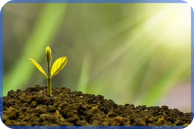 SOC관련주 투자전망과 국내 고배당주 맥쿼리인프라 주주총회 분석