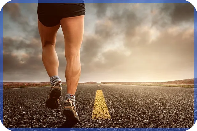 개인법인 존재 여부와 소득신고 방법은