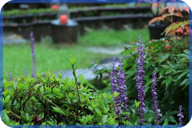 경매입찰방법 실전 전략과 최신 트렌드 알아보기