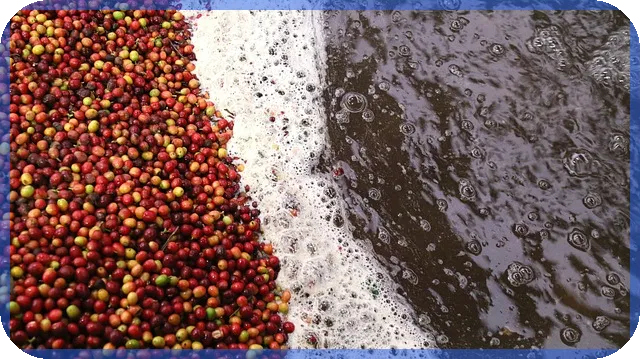 긴급자금 신청 일정과 대상 모두 확인하세요