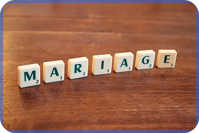 네이버지적도 활용법과 정부24 지적도 열람 방법