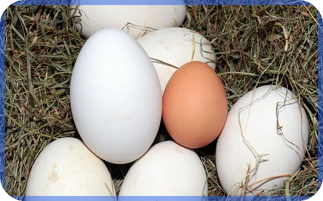 모바일소액대출 2025년 최신 금리와 한도 비교 필수 정보