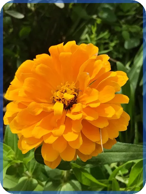 모바일소액대출 2025년 최신 금리와 한도 비교 필수 정보