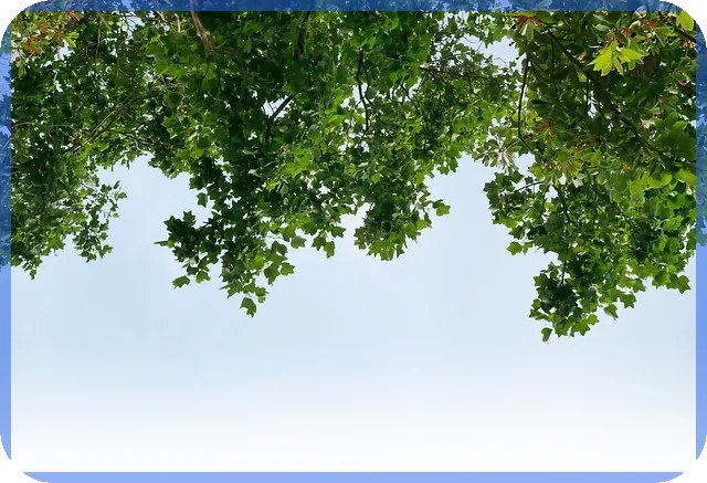 무학주가 전망과 관련주 분석 최신 정보