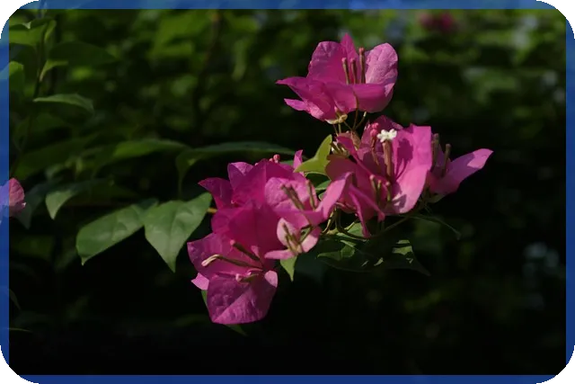 무학주가 전망과 관련주 분석 최신 정보
