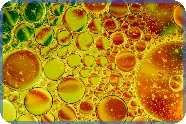 무학주가 전망과 관련주 분석 최신 정보