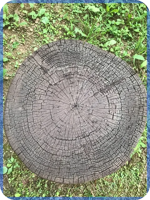 블록딜이 주가에 미치는 영향과 투자 전략 분석