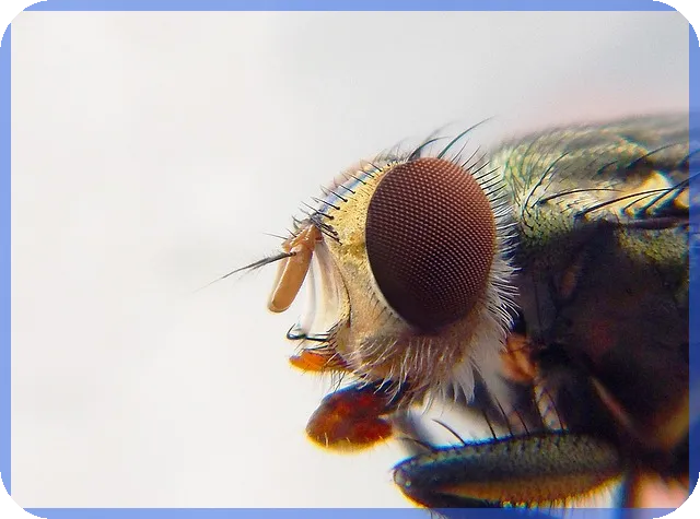 사회적기업 홈페이지 바로가기 쉽게 따라하기