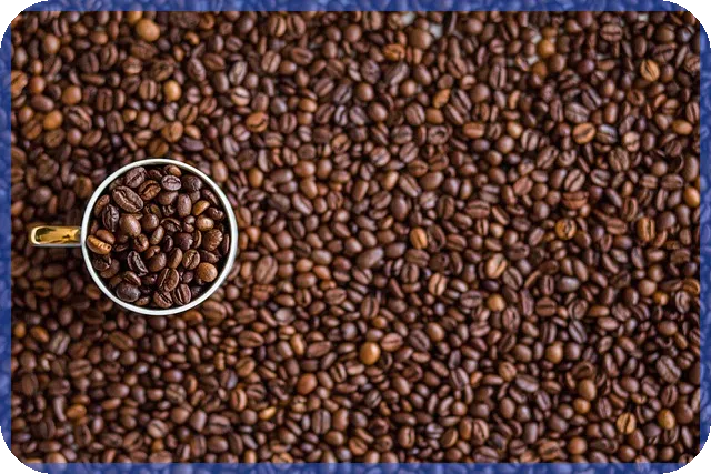 사회적기업 홈페이지 바로가기 쉽게 따라하기