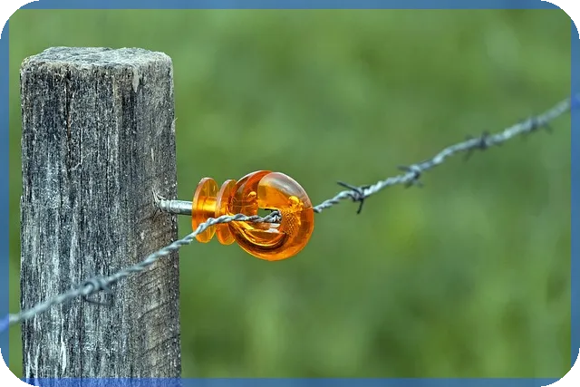 세전세후 계산법으로 알아보는 연봉 실수령액 요약