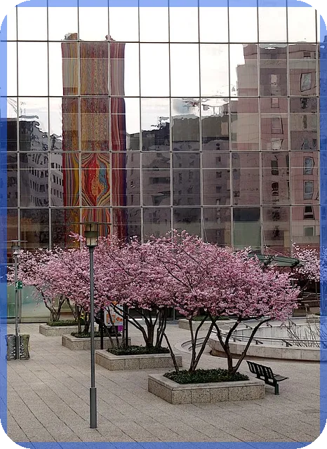 소상공인희망대출 자격과 한도 완전정리