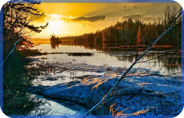 PCB관련주 투자전략과 시장 전망은 무엇인가