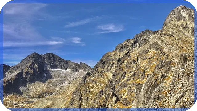 엔디비아주가 미래전망 분석 AI 성장과 시장 영향력