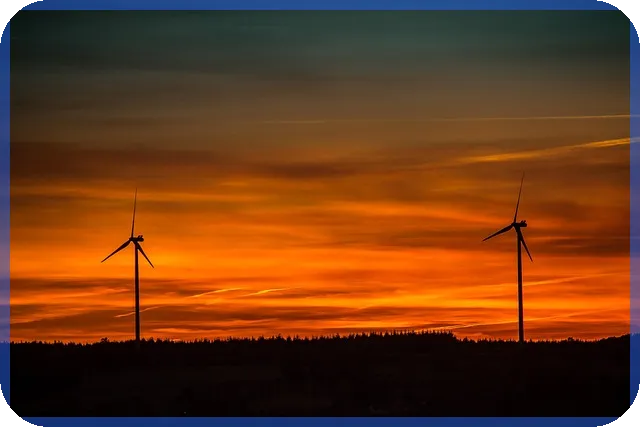 여름대장주 분석과 전망 여름 이끄는 주식은 무엇인가