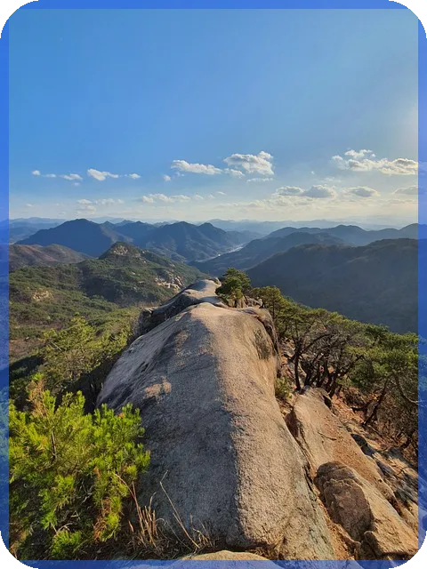 여름대장주 분석과 전망 여름 이끄는 주식은 무엇인가