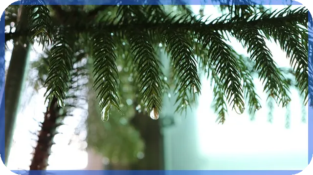 올릭스주가 급변하는 이유와 전망은 무엇인가