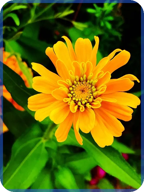 이익잉여금이란 무엇인지 재무제표 속 숨어있는 자산의 의미는 무엇일까