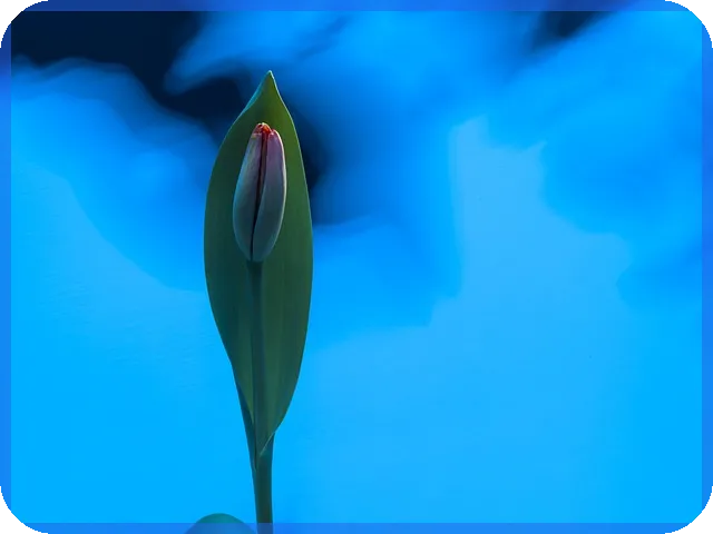 이익잉여금이란 무엇인지 재무제표 속 숨어있는 자산의 의미는 무엇일까