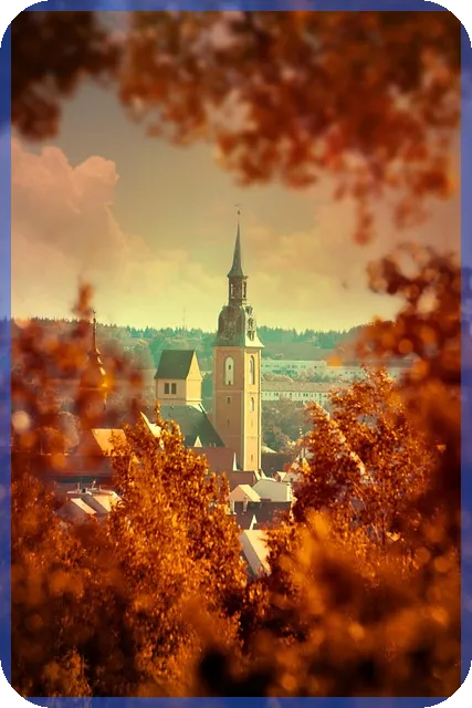 인스코비주가 전망 어떻게 될까 알아보기