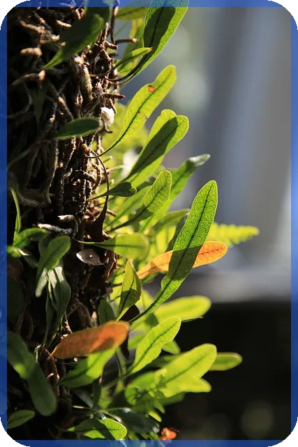 일자리관련주 강세 원인과 전망 분석