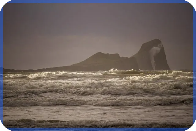 전세장기수선충당금 이해하셨나요