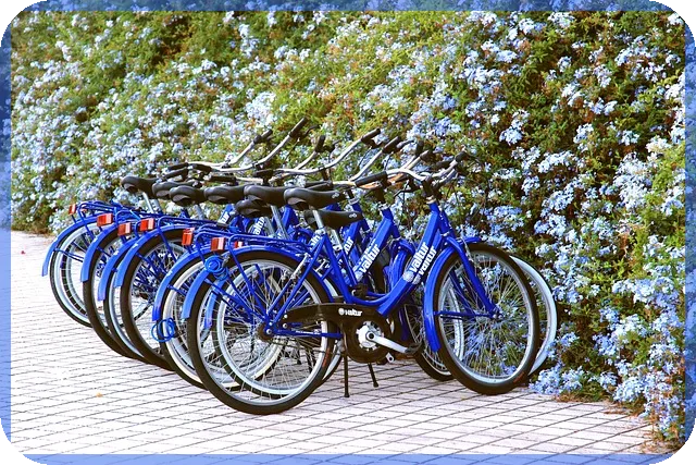 전세장기수선충당금 이해하셨나요