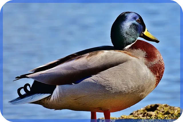 주급수당 계산법과 조건 쉽게 이해하기