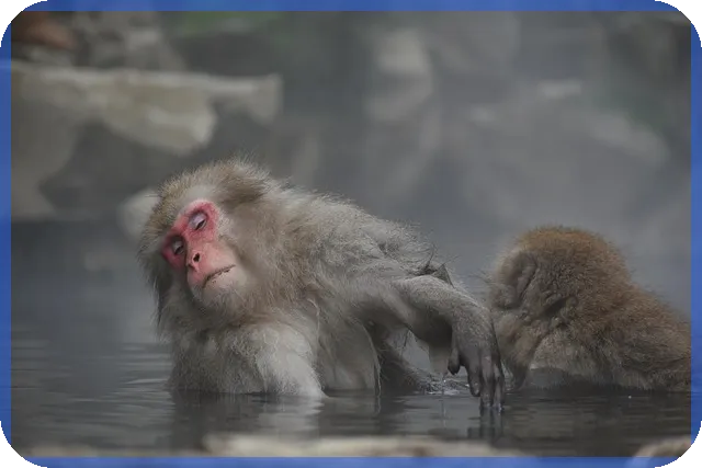 주식통장개설을 통한 투자 시작 필수 가이드