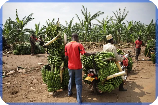 주식파는법 핵심 가이드 초보도 쉽게 따라하기