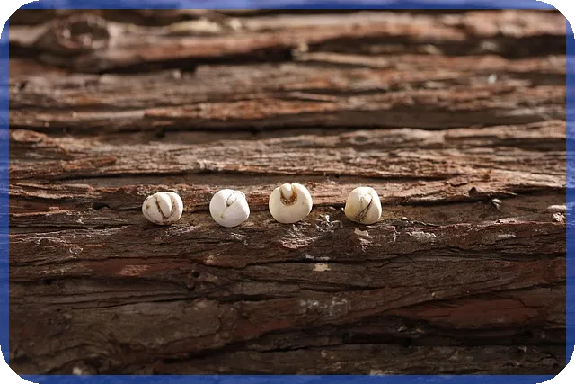 주식파는법 핵심 가이드 초보도 쉽게 따라하기