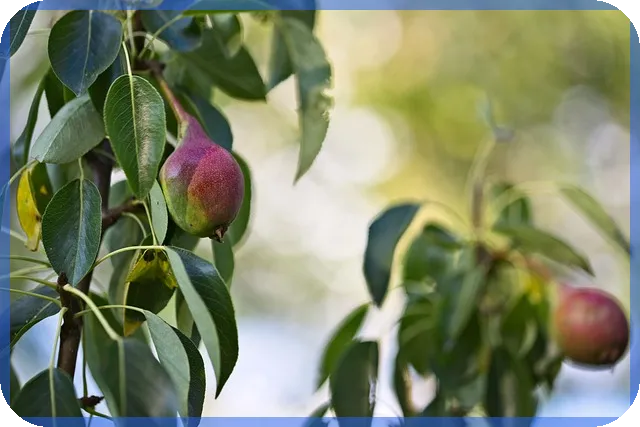 차바이오텍주가 유증 후 하락 원인과 향후 전망