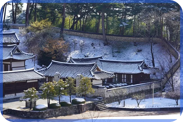 캔들차트 초보와 전문가 모두를 위한 실전 활용법