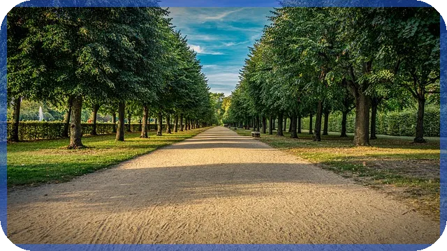 코스트코주가 전망과 액면분할 예상 전략