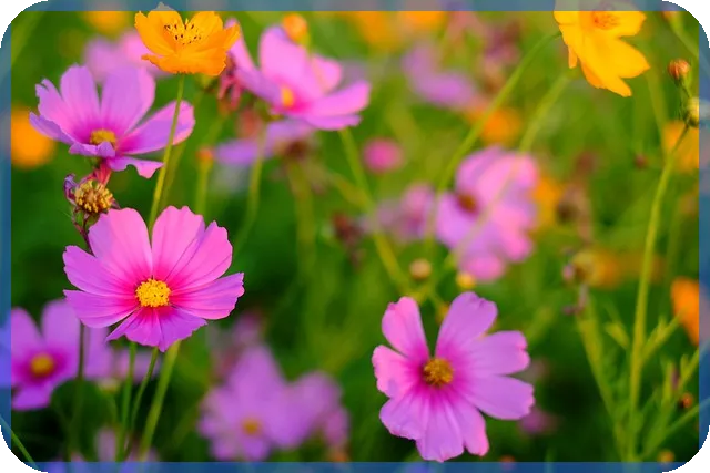 코인뉴스 이더리움과 코스모스 연결된 변화는?