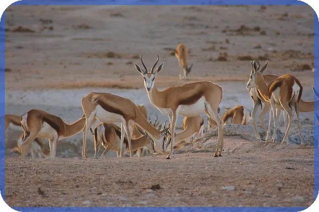 코인뉴스 이더리움과 코스모스 연결된 변화는?