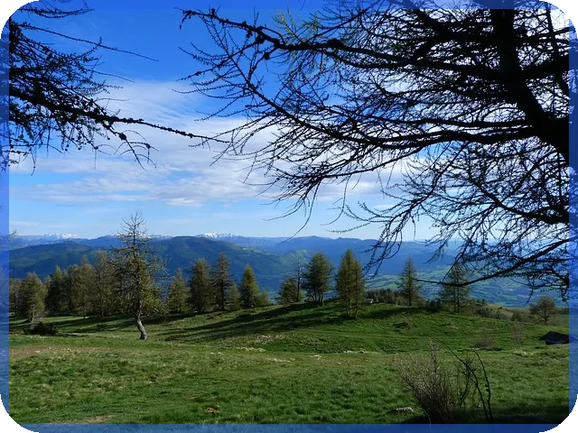 태웅주가 상승 전망과 투자 필수 정보는?
