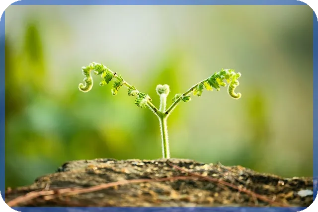 태웅주가 상승 전망과 투자 필수 정보는?