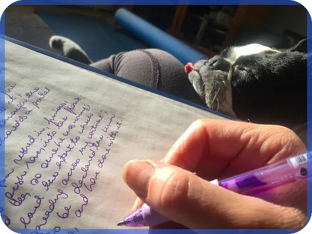 하이리스크하이리턴의 심리적 원리와 투자 전략