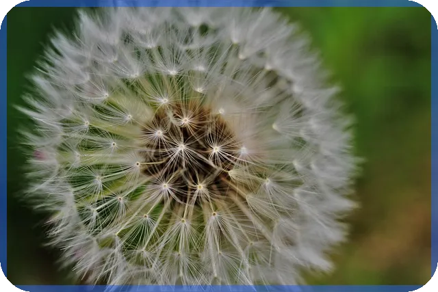 화물연대파업으로 인한 대책과 사업체 영향분석