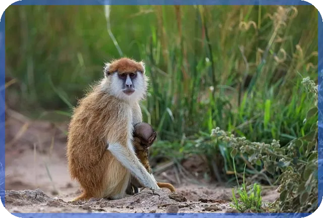 2억대출 30년 조건과 혜택 모두 알려드립니다