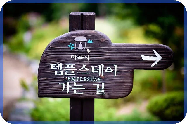 강스템바이오텍주가 전망 악재와호재분석