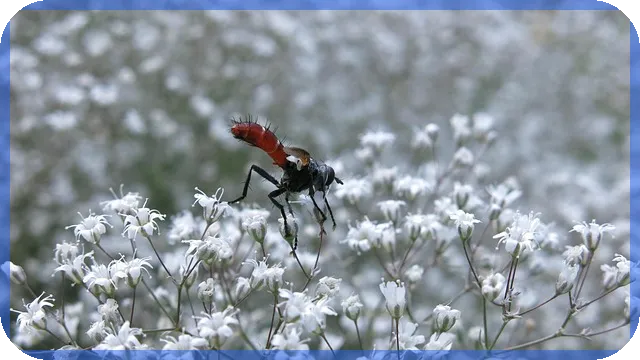 국민은행 대출계산기 활용법과 최적대환 혜택