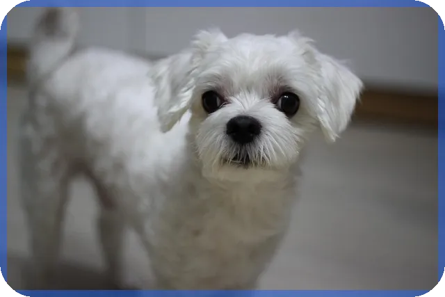 국민제안 성공 전략 완전정복으로 정책 반영하기